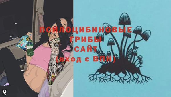 а пвп мука Тында