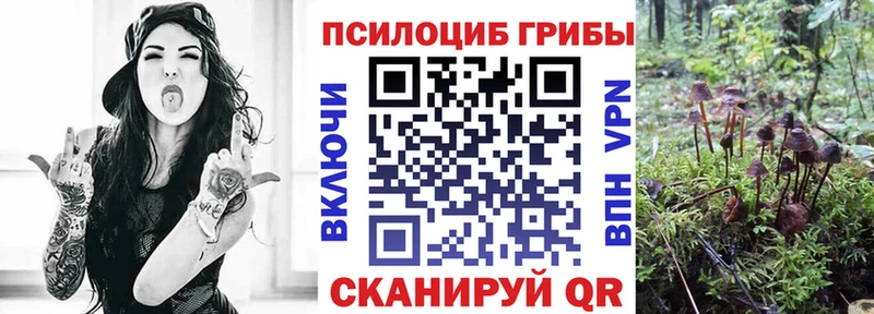 МЕГА ССЫЛКА  наркота  Дигора  Галлюциногенные грибы MAGIC MUSHROOMS 