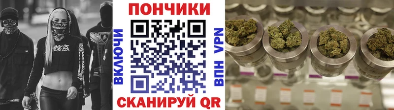 Каннабис Amnesia Дигора